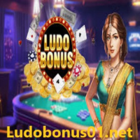 ludobonus01 game